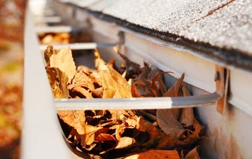 Ellerby gutter cleaning companies