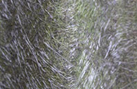 Ellerby fibreglass roof work