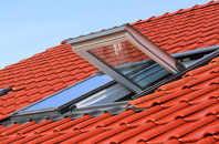 Ellerby roof window